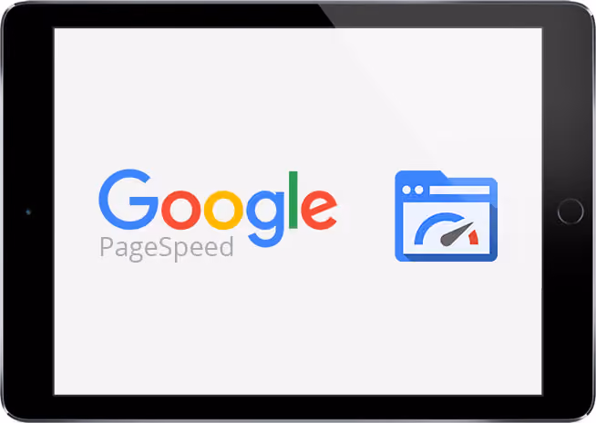 100/100 Perfect Google PageSpeed Score