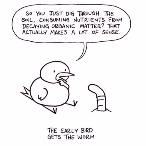 Early Bird