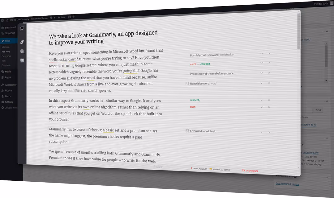 Grammarly Screenshot