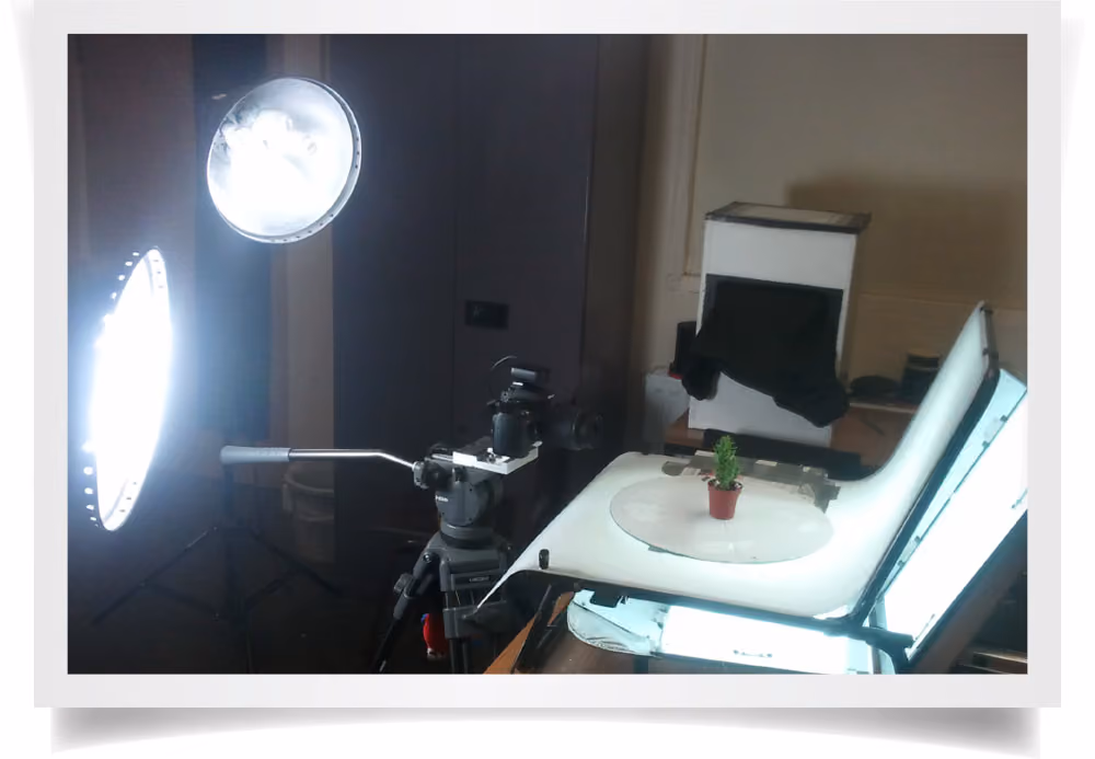 Shooting the cactus
