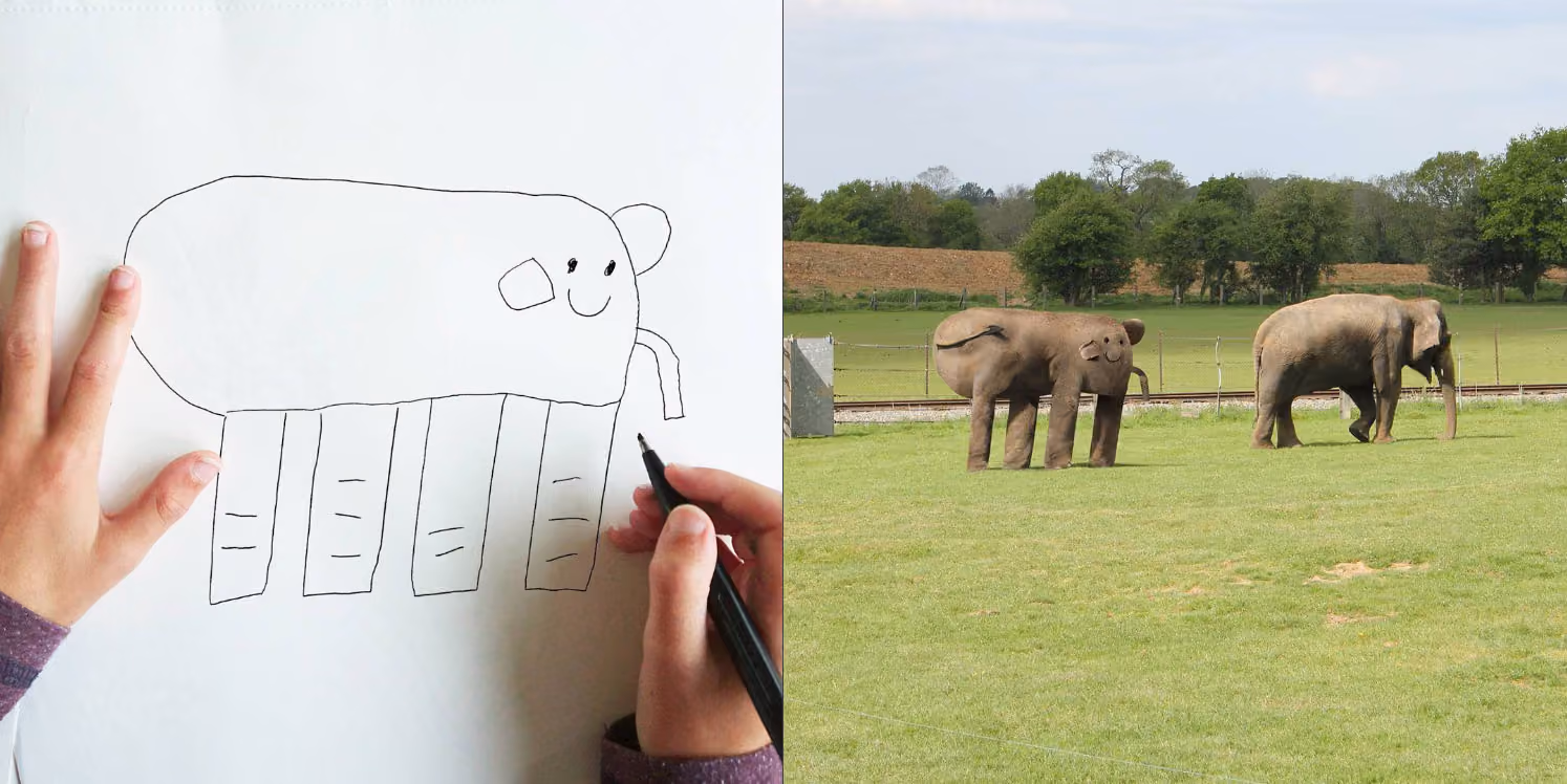 An Elephant