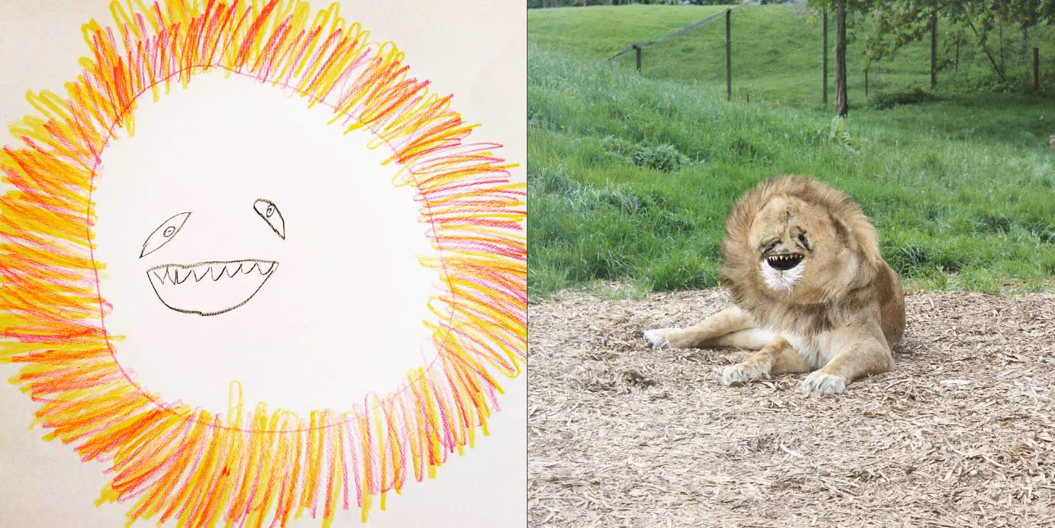 A Lion