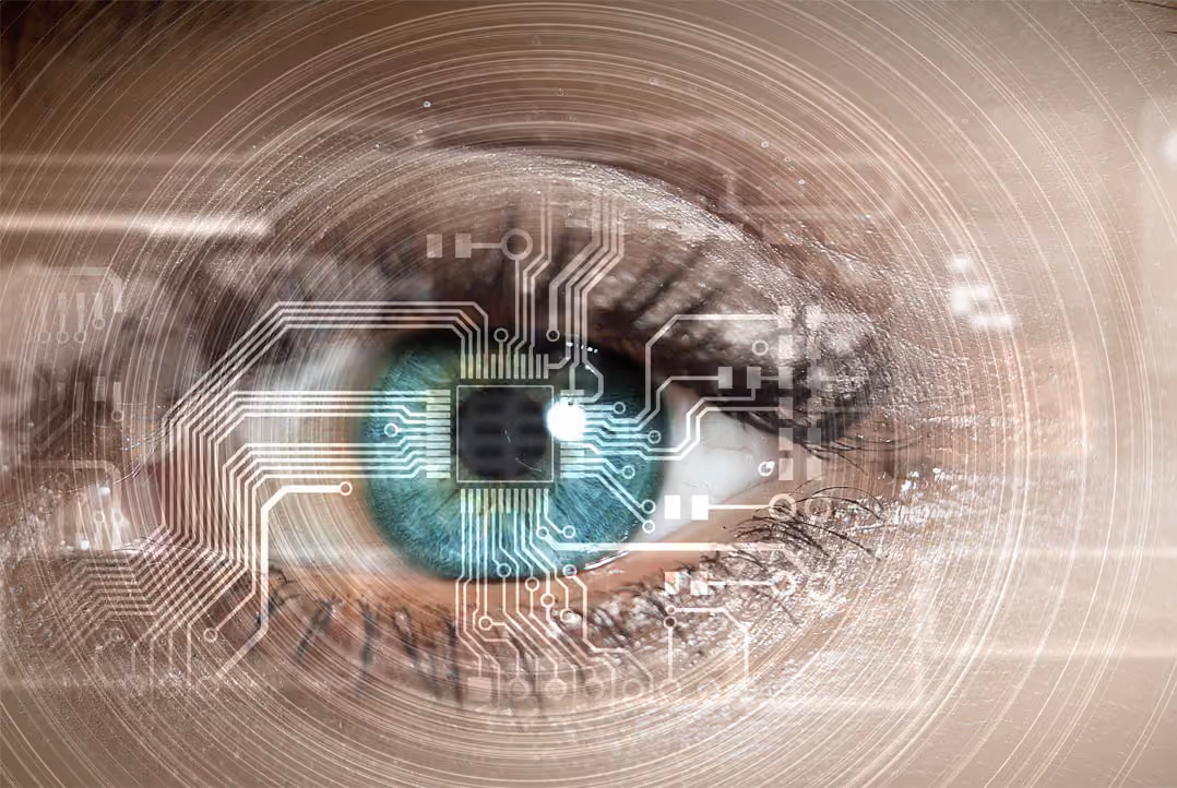 Web Design for the Blind and Visually Impaired