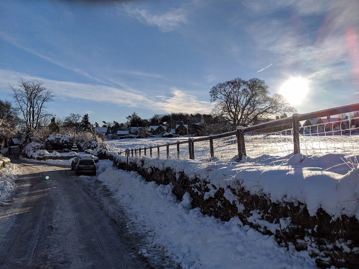 Winter