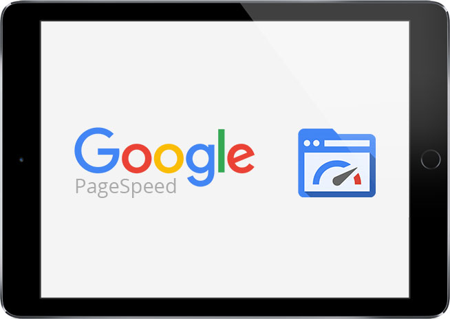 100/100 Perfect Google PageSpeed Score